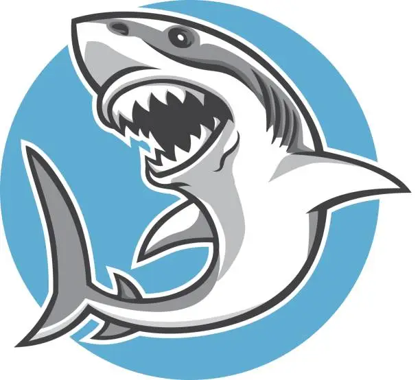 Vector illustration of shark mascot