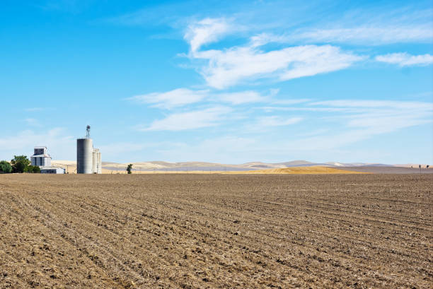istock Industry Silos in Rural Area 685835768