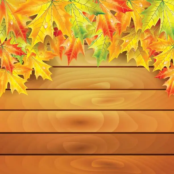 Vector illustration of Autumn