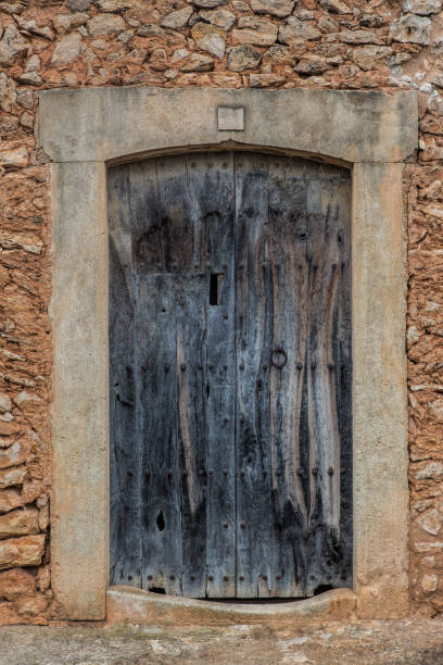 istock Old wooden door in brick wall 685847594