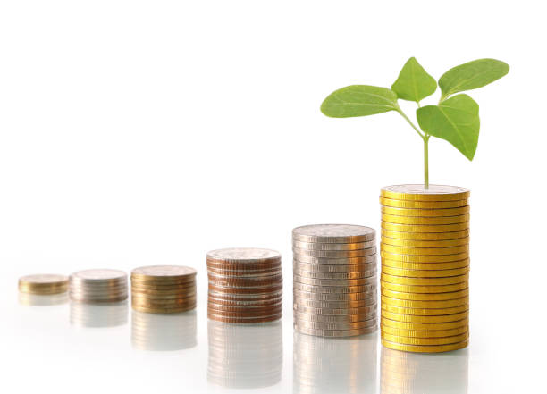 istock Investment concept, Coins graph stock 685850716