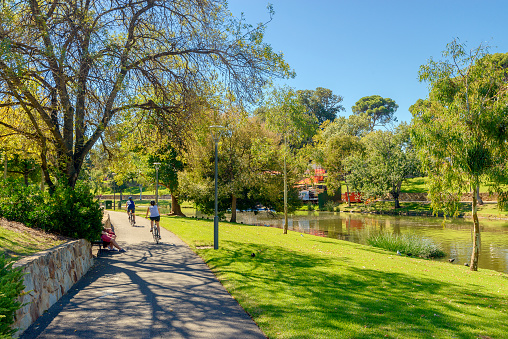 Adelaide: Unrecognized people riding their bicycles along Torrens river bike track in North Adelaide on a bright day