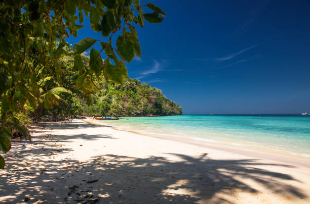 istock idillyic tropical hidden beach with white sand and palm trees on Bamboo island, Ko Phi Phi archipelago Thailand 685851578