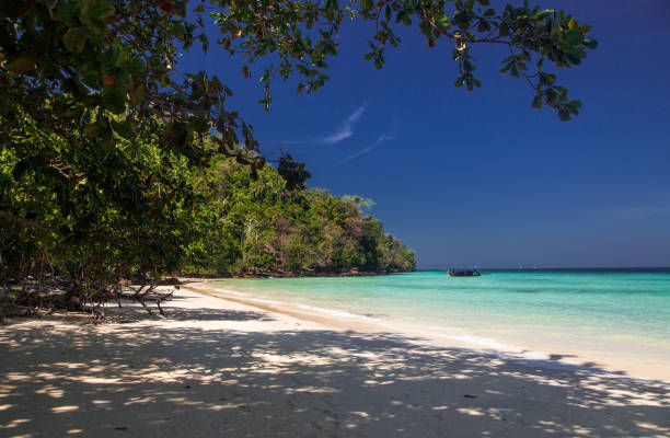 istock idillyic tropical hidden beach with white sand and palm trees on Bamboo island, Ko Phi Phi archipelago Thailand 685851592