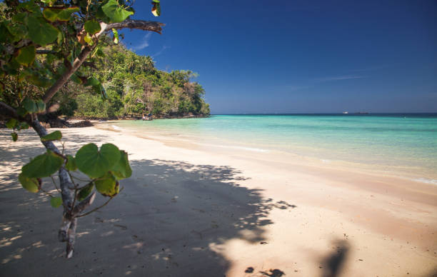 istock idillyic tropical hidden beach with white sand and palm trees on Bamboo island, Ko Phi Phi archipelago Thailand 685851634
