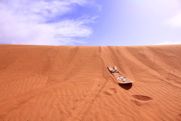 Sand board on the desert in sahara