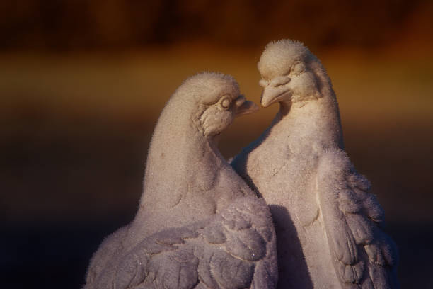 Pigeons on rainy days and ancient Chinese architecture, quiet scenes, Zen meditation