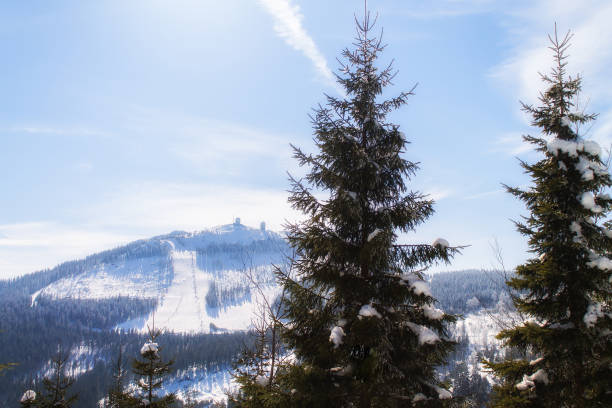istock Winter landscape view to the mountain bis arber, Bavaria 685857356