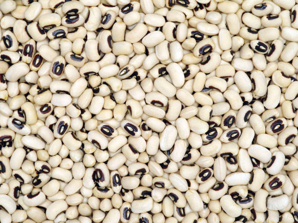 istock White kidney beans black eye closeup top view background. 685857788