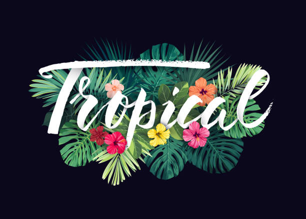 stockillustraties, clipart, cartoons en iconen met zomer hawaiian vector ontwerp voor kaart of flyer met exotische palm bladeren, hibiscus bloemen en belettering - pakjesavond