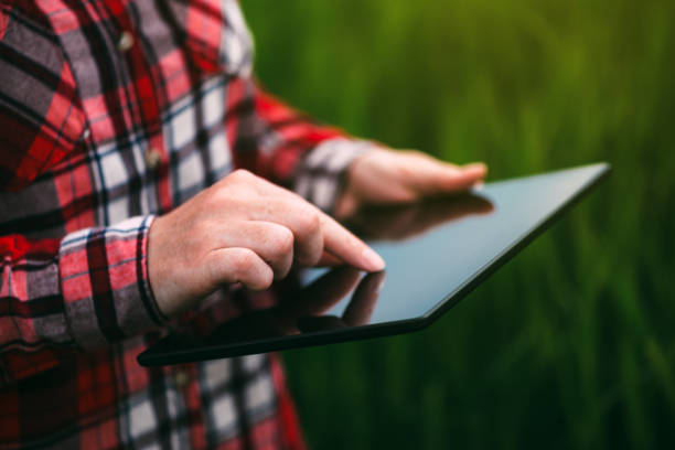 istock Female farmer using tablet computer in barley crop field 685860504