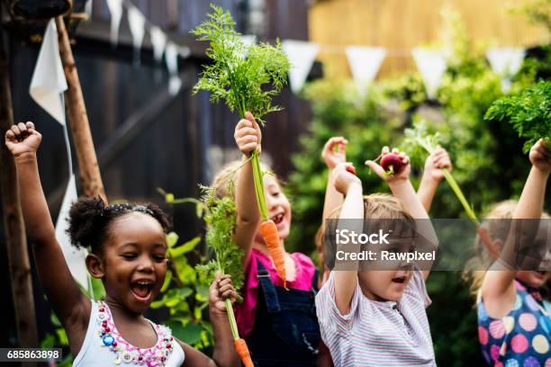 Kids In A Vegetable Garden With Carrot Stock Photo - Download Image Now - Child, Vegetable Garden, Education