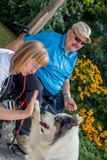 istock Therapy Dog Helping  Disabled Senior Man On Wheelchair 685864254