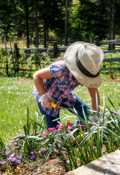 istock Little girl gardening 685865410