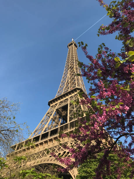 istock View of the Eiffel Tower in Paris 685866110