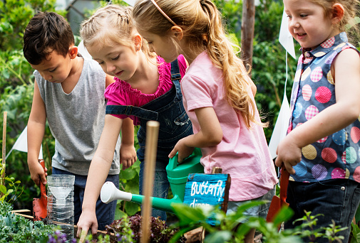 Kindergarten kids learning gardening outdoors