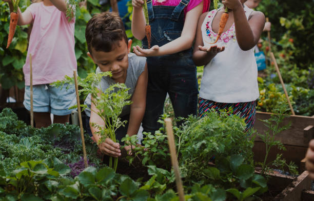 istock Group of kids in a garden 685866850