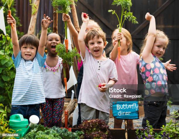 Children Holding Carrot In A Garden Stock Photo - Download Image Now - Child, Gardening, Vegetable Garden