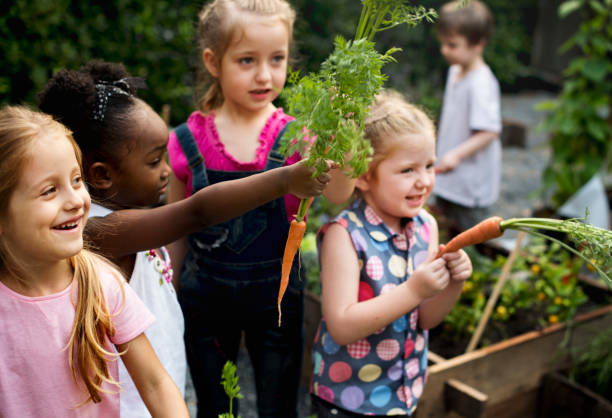 istock Kids in a garden holding carrot 685867084