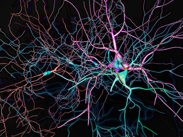 istock Brain, neurons, synapses, neural network circuit of neurons, degenerative diseases, Parkinson 685868382