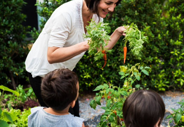 istock Kid in a garden experience and idea 685870438