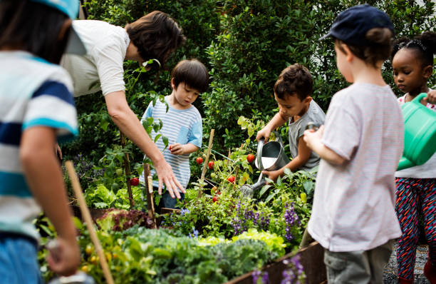 istock Teacher and kids school learning ecology gardening 685870842