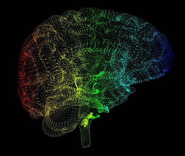 istock Brain, neurons, synapses, neural network circuit of neurons, degenerative diseases, Parkinson, 3d rendering 685870874