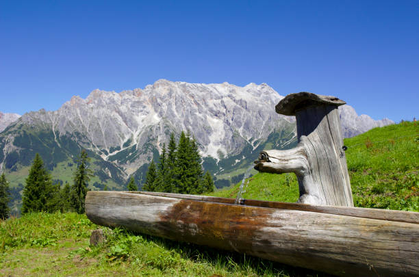 istock Wooden trough in front of mountain panorama 685873268