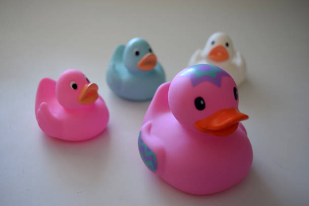 istock Rubber Duck Family 685875098