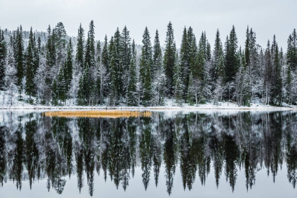 istock Quite Winter Reflections on a Lake in Northern Finland 685882542