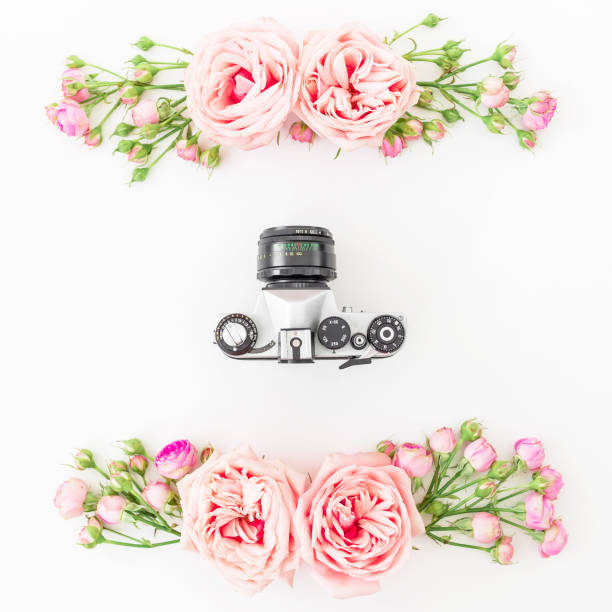 istock Old camera and roses, buds and leaves on white background. Flat lay, top view. Retro background. 685882778