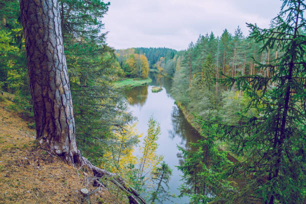 istock Rock at the river Salaca in Latvia. 685883578