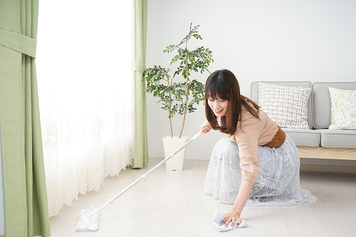 Young woman doing the housework and the cleaning