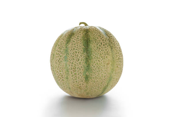 Cantaloupe melon isolated on white background stock photo