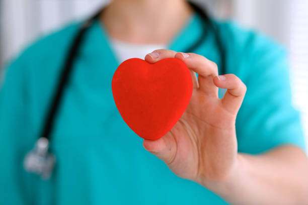istock Female surgeon doctor with stethoscope holding heart 685888012