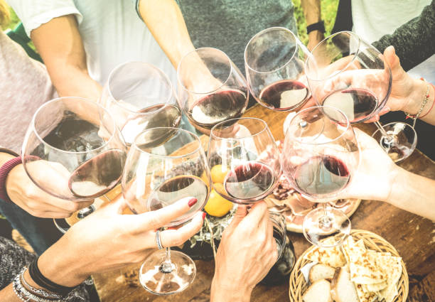 amis des mains grillage rouge vin verre et s’amuser dehors acclamant avec le concept de jeunesse et de l’amitié - jeunes gens appréciant leur moisson ensemble à la campagne viticole ferme - dégustation de vins - wine dinner party drinking toast photos et images de collection