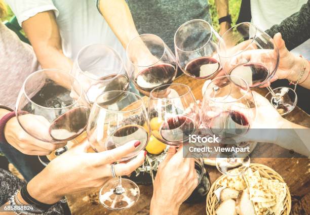 Photo libre de droit de Amis Des Mains Grillage Rouge Vin Verre Et Samuser Dehors Acclamant Avec Le Concept De Jeunesse Et De Lamitié Jeunes Gens Appréciant Leur Moisson Ensemble À La Campagne Viticole Ferme Dégustation De Vins banque d'images et plus d'images libres de droit de Trinquer