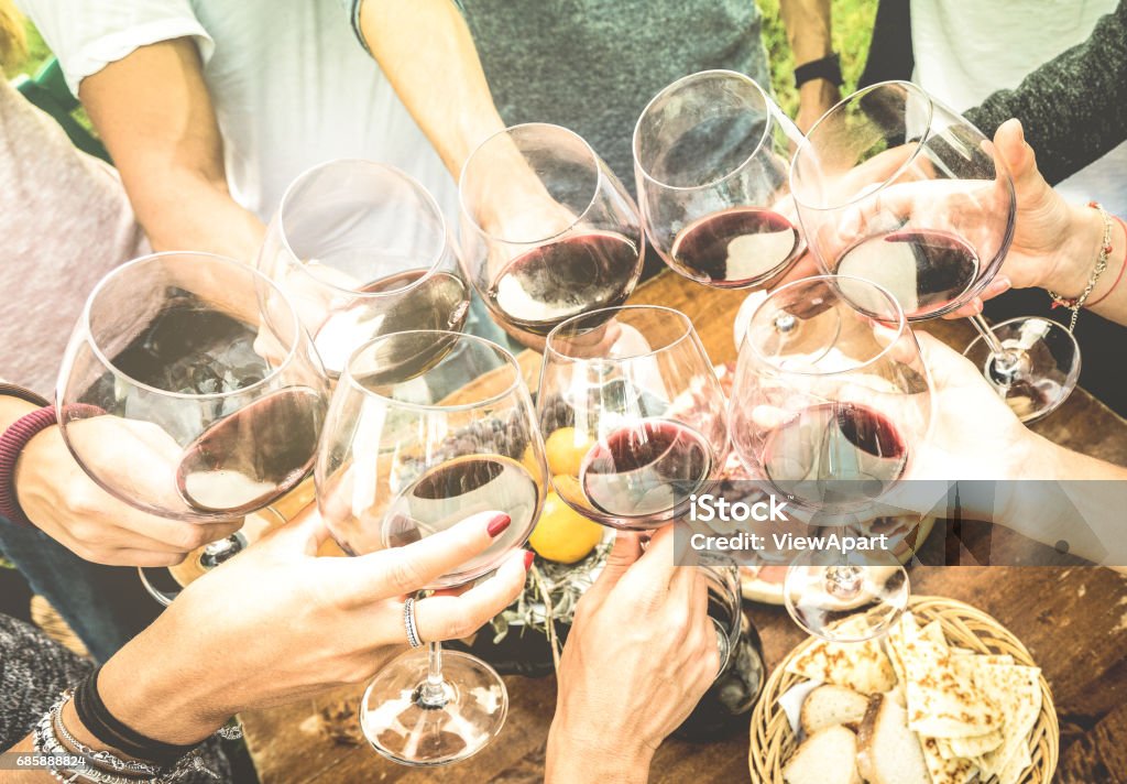 Friends hands toasting red wine glass and having fun outdoors cheering with winetasting - Young people enjoying harvest time together at farmhouse vineyard countryside - Youth and friendship concept Celebratory Toast Stock Photo