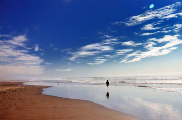 istock Whiskey Run Beach, Bandon Coos County, Oregon 685889256