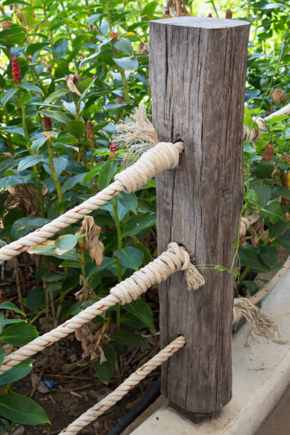 istock Wooden fence and knot rope 685890894