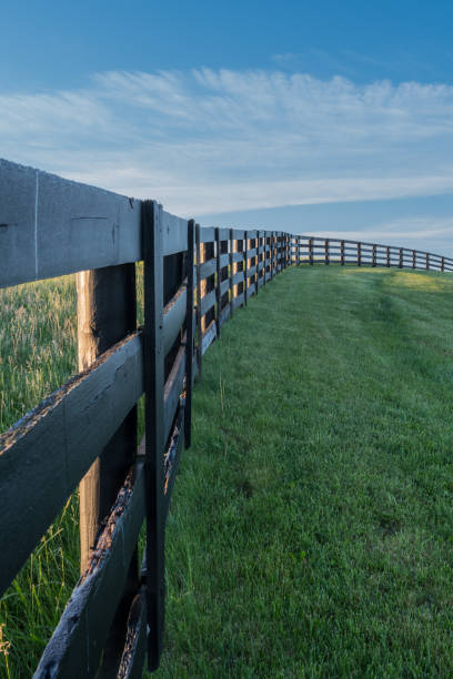 istock Along the Horse Fence 685892786
