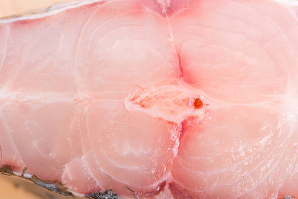 istock Piece of tilapia fish meat 685892990
