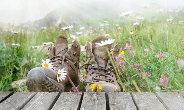 hiking shoes on plank in flowering meadow in mountain
