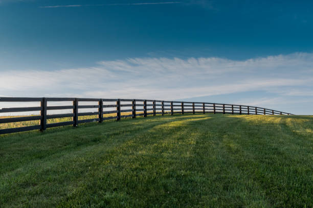 istock Three Quarter View of Fence Over Rolling Hill 685907024