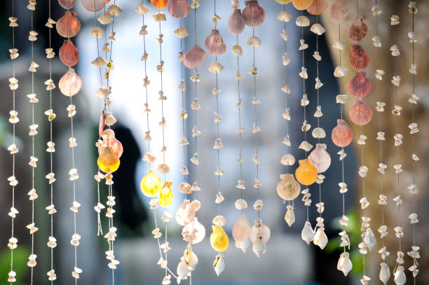istock Variety seashells hanging for Curtain shells and mobile decoration, home interior decoration by seashell curtain 685907238