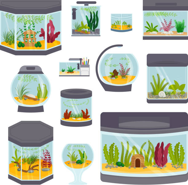 istock Transparent aquarium interior vector illustration isolated on white habitat house underwater fish tank bowl 685910628