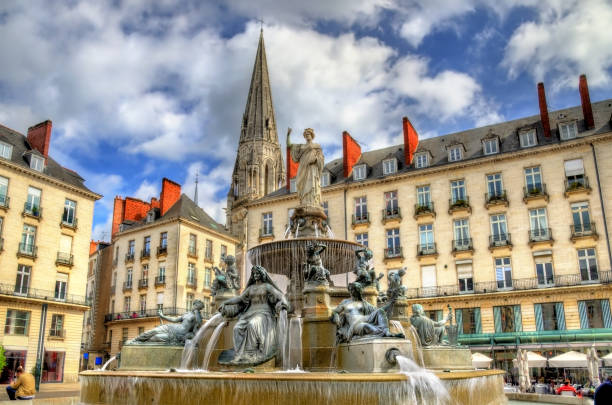 fountain on the place royal in nantes, france - cher stok fotoğraflar ve resimler
