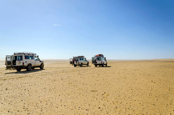 istock Safari cars 685924208