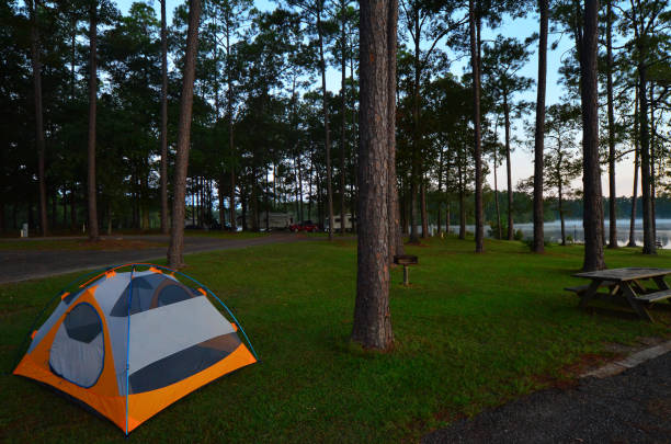 istock Tent camping in lakeside forest campground 685931200