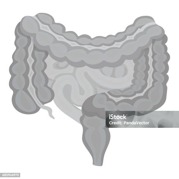 Gastrointestinal Tract Icon In Monochrome Style Isolated On White Background Organs Symbol Stock Vector Illustration Stock Illustration - Download Image Now